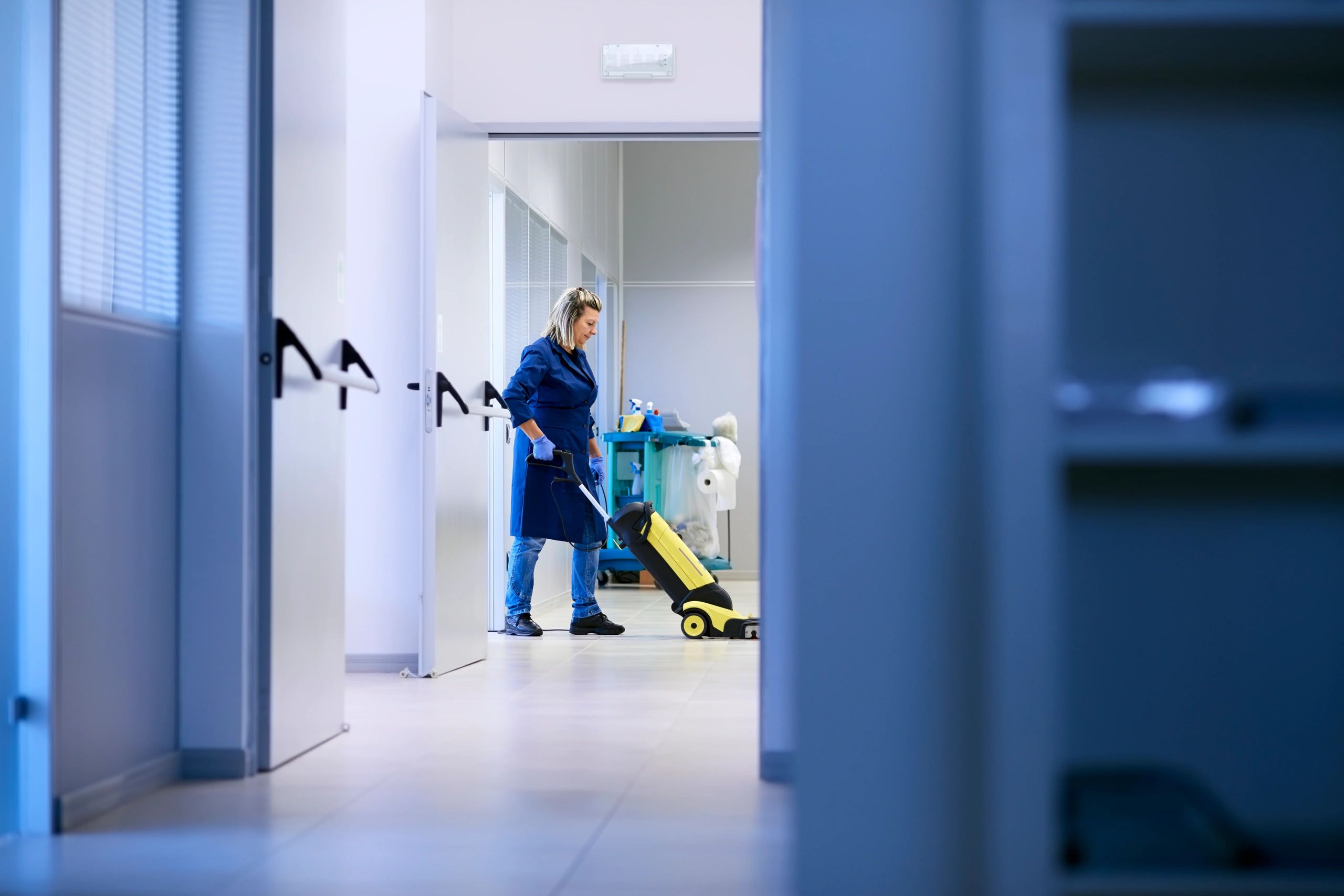Carpet and upholstery care