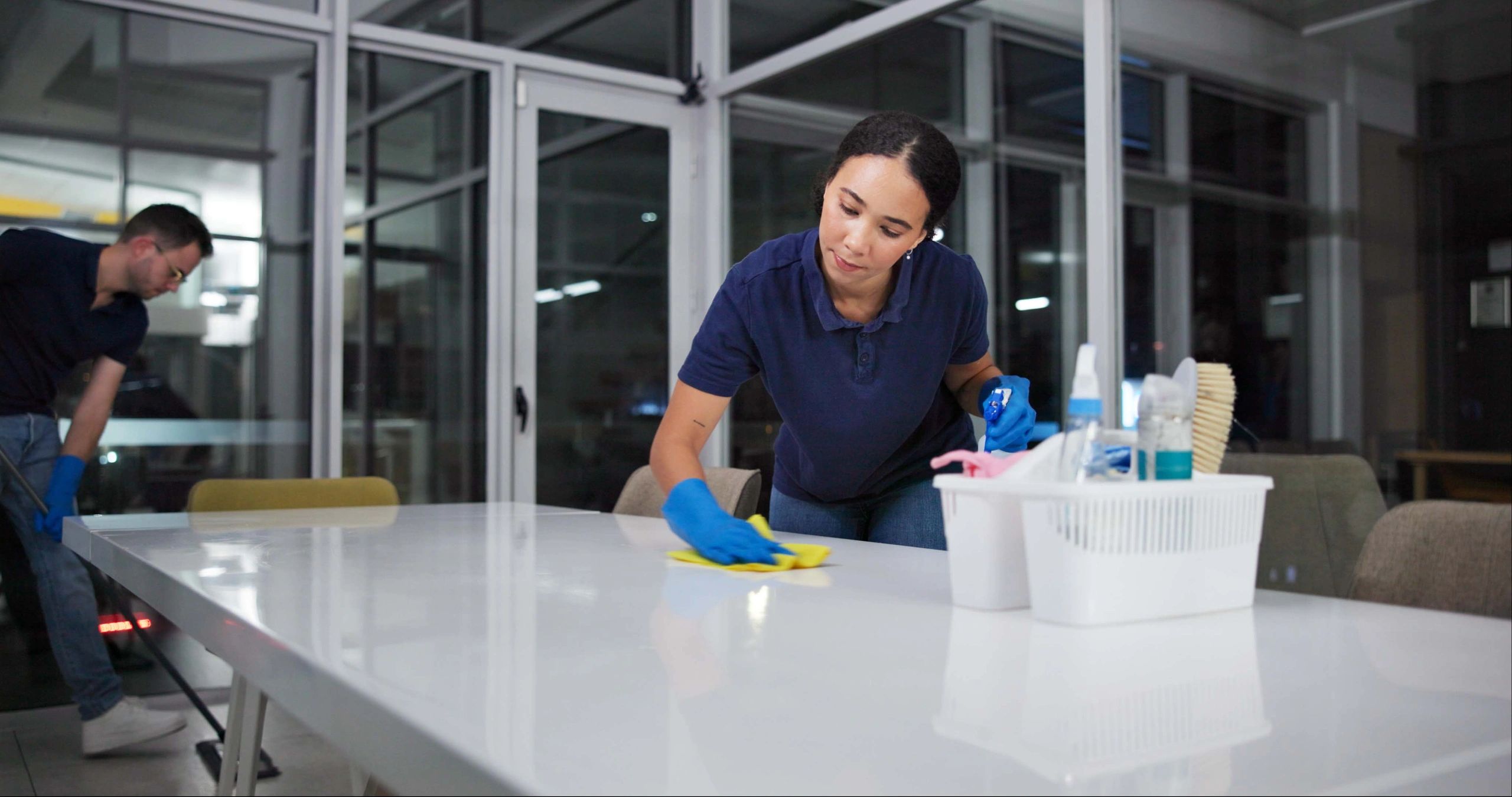 Professional disinfection